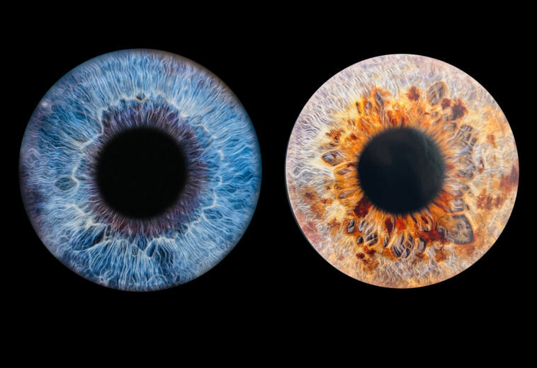 IRIS Studio – fotografii artistice cu irisul ochiului